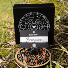 Coffret Signe du Scorpion
