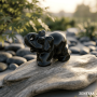 Eléphant Obsidienne