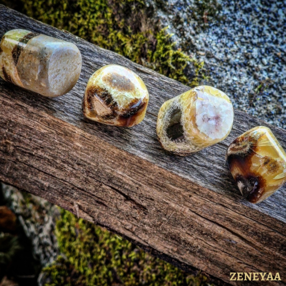 Pierre roulée Septaria